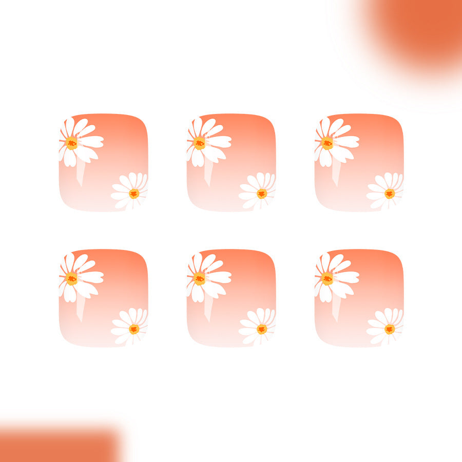 Charming Floral Short Square Peach Ombre Press On Toenail Set with Daisy Accents