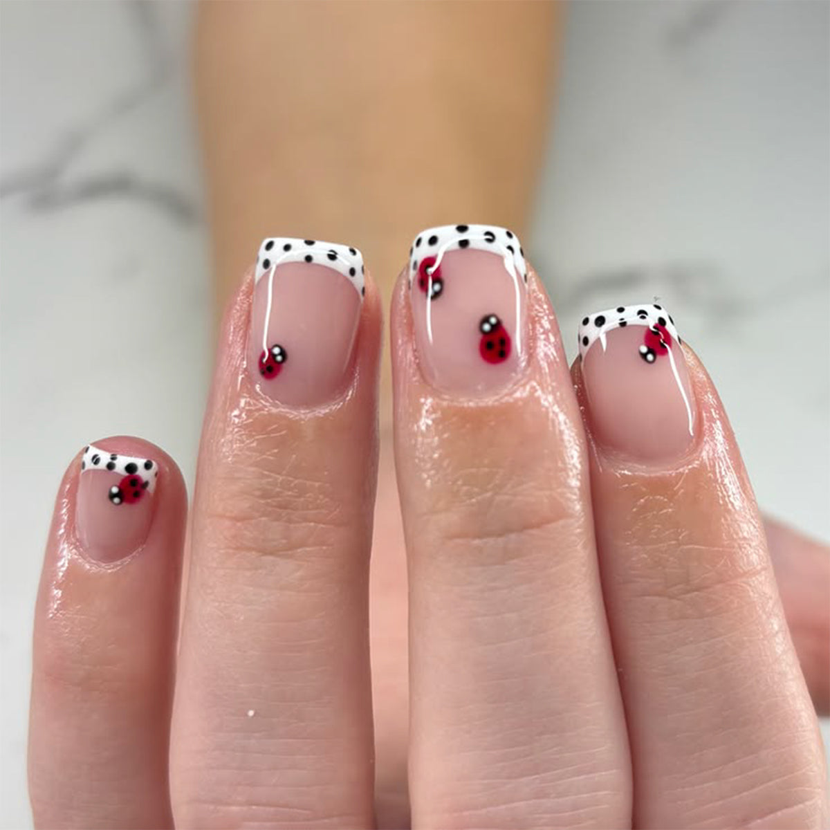 Ladybug Garden Inspired Short Square White and Black Detailed Press On Nail Set