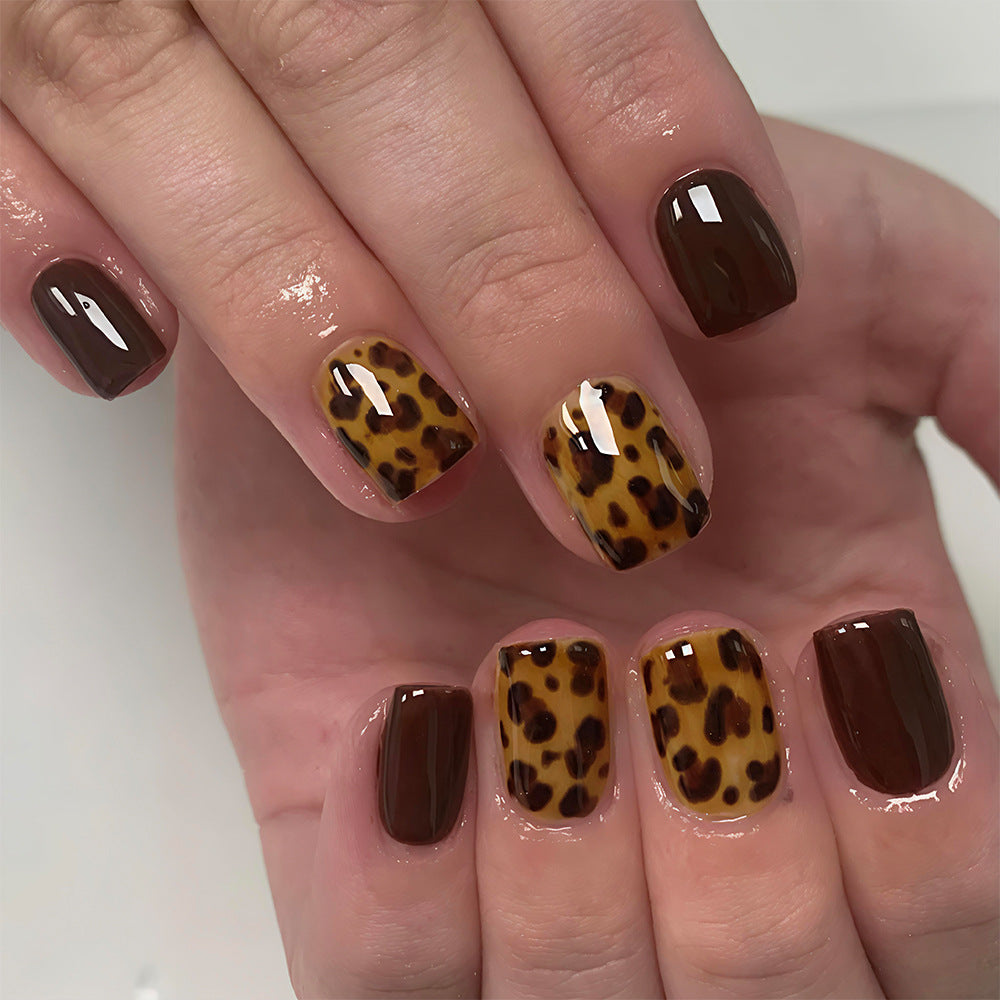 Wild Safari Chic Short Square Brown with Leopard Print Accent Press On Nail Set