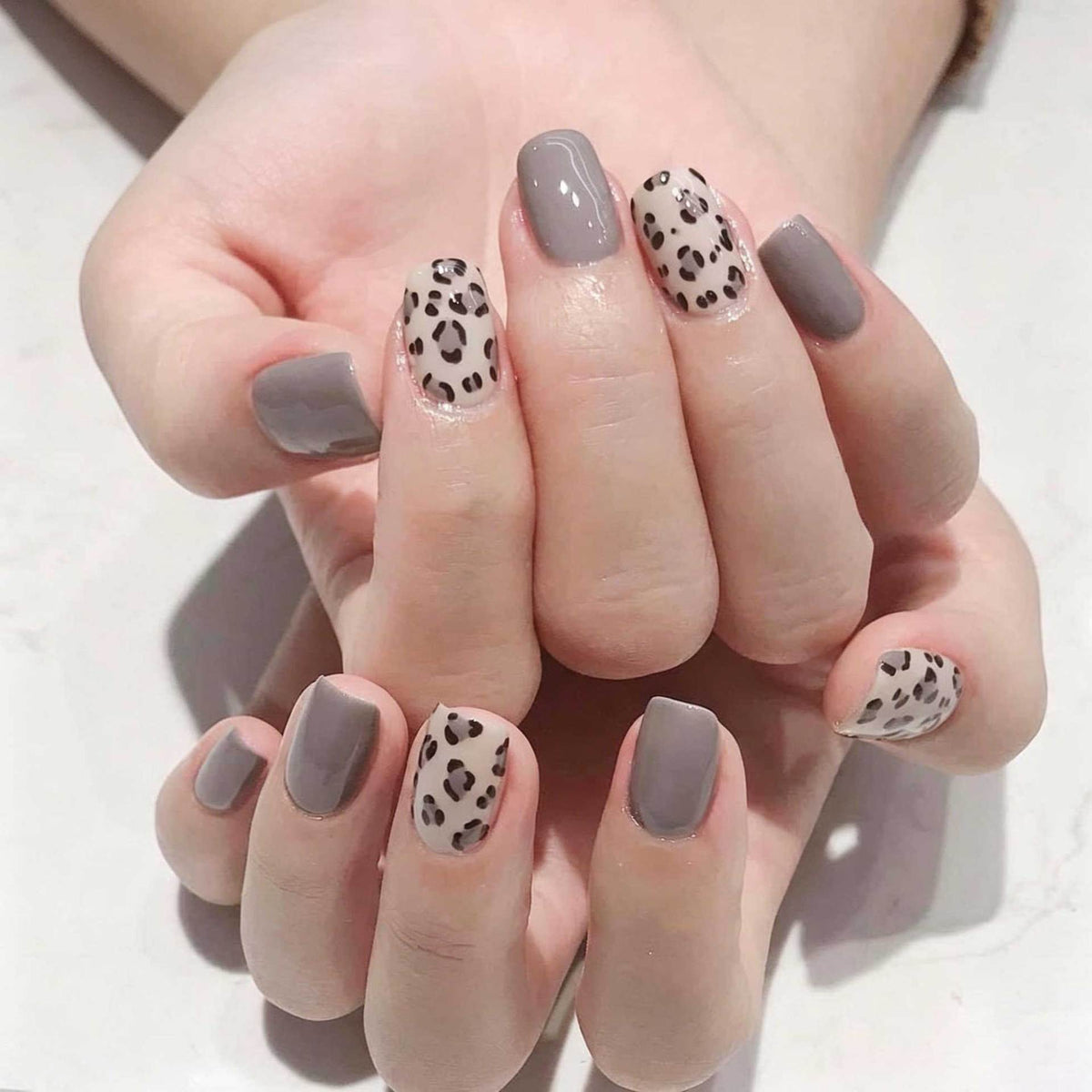 Savannah Chic Medium Square Gray With Animal Print Accent Nail Set