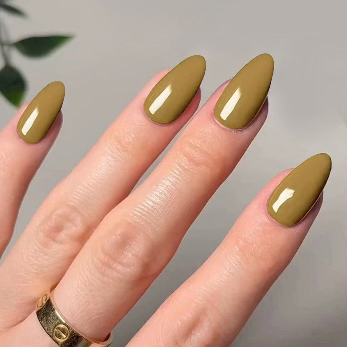 Urban Olive Long Stiletto Press-On Nails with Glossy Finish and Chic Solid Color